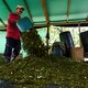 Waarom de oorlog tegen cocaïne niet te winnen is