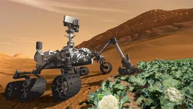 Bloemkolen telen op Mars lijkt futuristisch, maar in Nijverdal wordt uitgelegd dat het geen sprookje is 