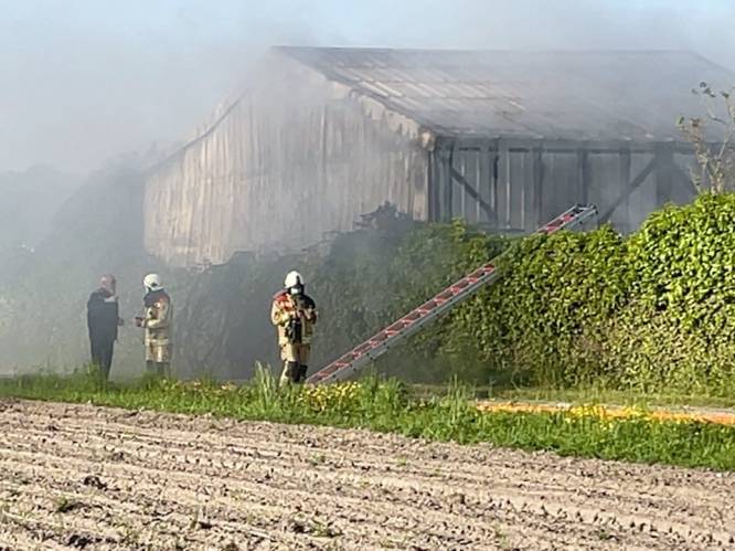 Paarden, “ook van Brugse koetsen”, tijdig geëvacueerd bij brand in manege in Oostkamp