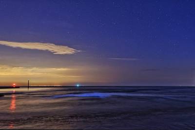 Schouwen-Duiveland waarschuwt badgasten voor zeevonk