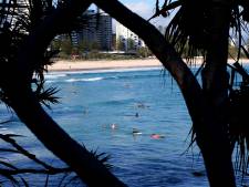 Surfer dood door aanval haai in Australië