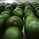 Amsterdammers openen avocadorestaurant