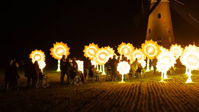 Verlichte zonnebloemen van ‘Van Gogh’ op symbolische plek in Nuenen