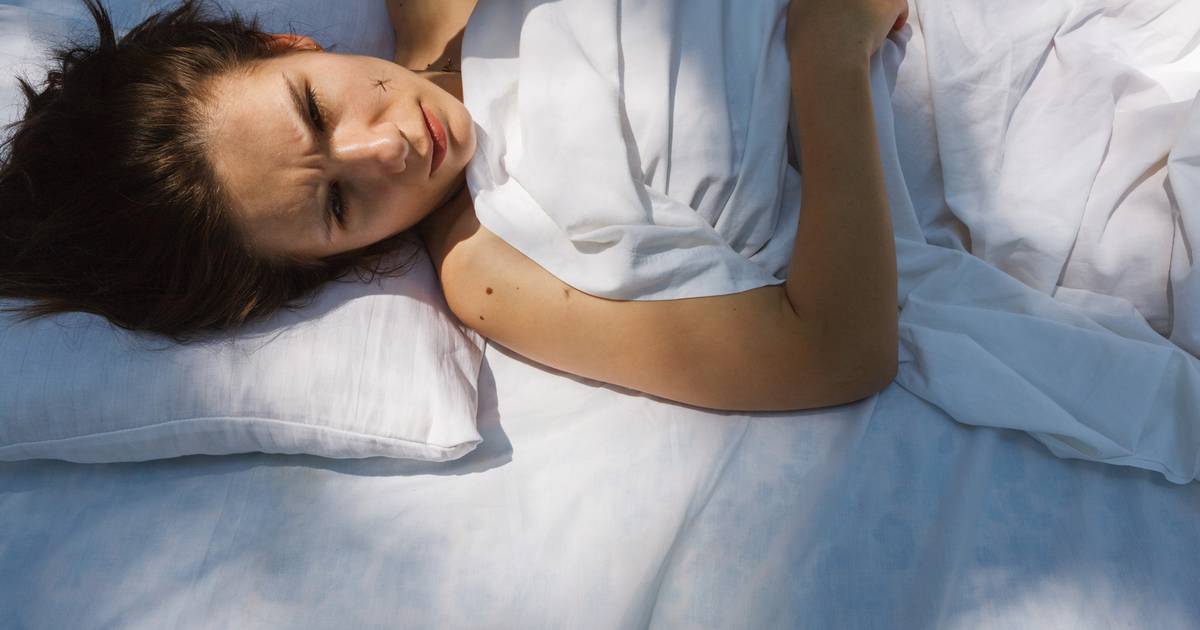 Sebbene spesso disturbino il nostro sonno, le stesse zanzare attribuiscono grande importanza a un sonno sufficiente |  animali