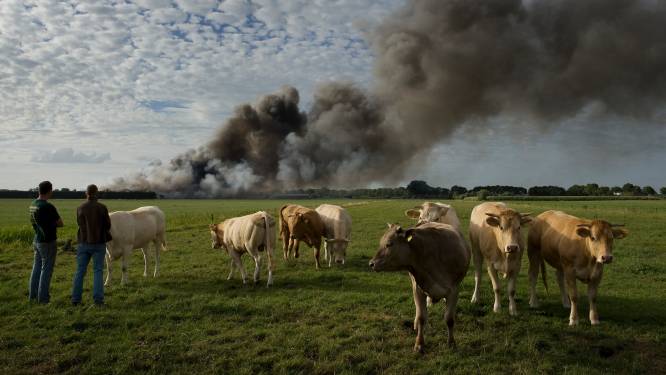 Knorhof jaar na dato symbool voor actieclubs en pijnlijk litteken voor varkensboeren