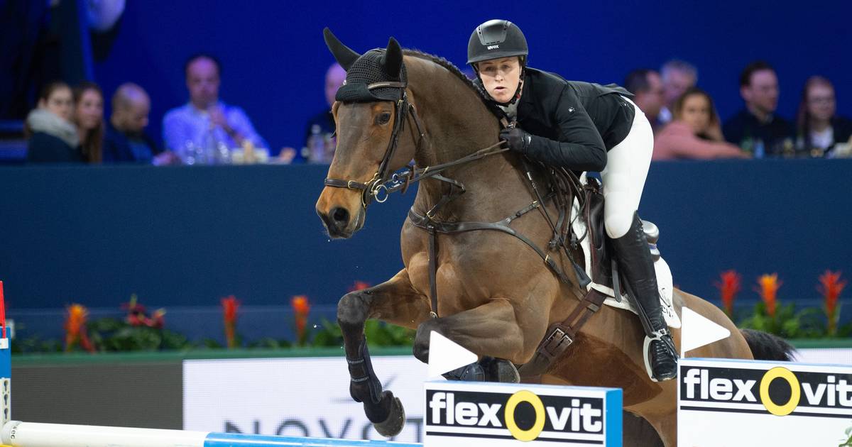 Het beste springpaard van de wereld komt uit Harbrinkhoek