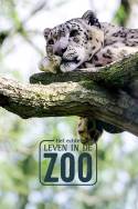 boxcover van Het Echte Leven in de ZOO