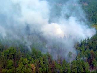 Al meer dan 30.000 vierkante kilometer afgebrand en bosbranden in Siberië breiden zich nog verder uit
