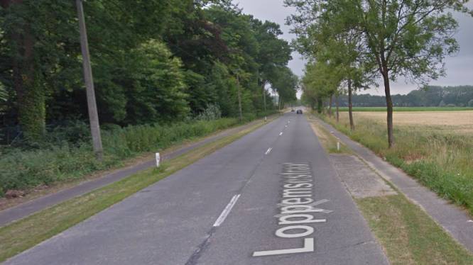 Bomen worden gekapt voor aanleg van nieuwe fietspaden: weg tussen Oostkamp en Loppem volledig onderbroken