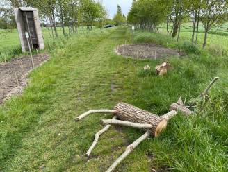Vandalen vernielen houten herten in dreef Wagmeire