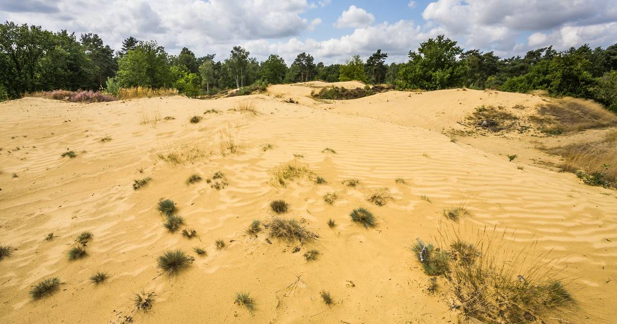 Oudsbergen maakt werk van citymarketingplan Oudsbergen hln.be