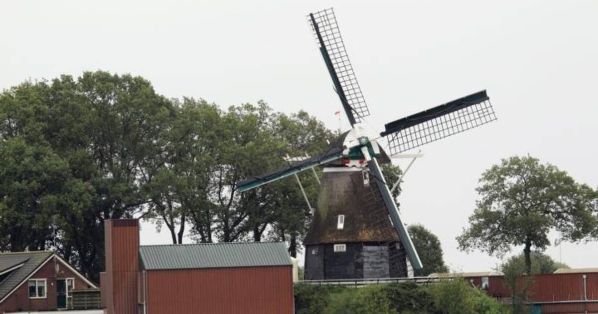 Windlust in rouwstand na ongeluk
