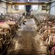 Veesector komt met nieuwe campagne onder het motto ‘Nederland Vleesland’