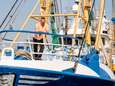 Van schip naar schap: zo verduurzamen Nederlandse garnalenvissers