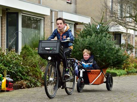 Hoe hebben de gemeenten in het Groene Hart de kerstbomenophaal geregeld dit jaar?