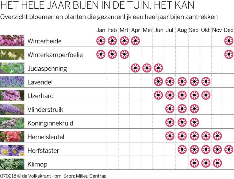 null Beeld  