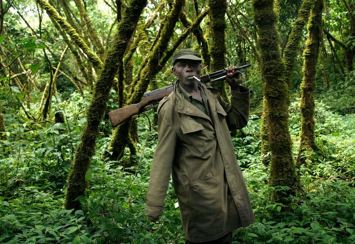 Un ranger della Riserva Virunga in Congo, dove gli animali sono minacciati dai bracconieri.  Diversi ranger del parco sono stati uccisi negli ultimi anni.