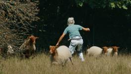 De Sterkste Handen vs. De snelste schapen