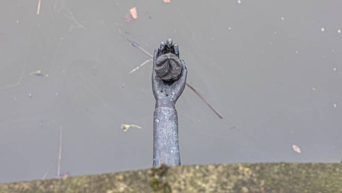 Deze hand in Zwolle ooit gezien? Er zit een opvallend verhaal achter: ‘Dit was natuurlijk een grote misdaad’
