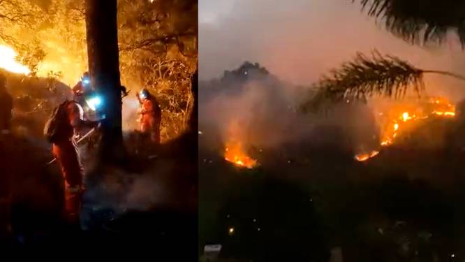 Al meer dan 37 hectare bos in as: man onder invloed verdacht van brandstichting in Mexico