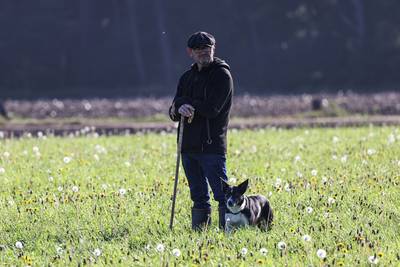 Schapendrijven, leuk. Maar dan moet je ze wel kunnen vinden