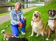 Schepen van Openbaar Domein Katrien Vaes (Open VLD) ruimt de hondenpoep van mascotte Max en enkele andere honden.