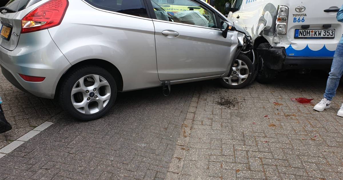 Kat veroorzaakt ongeval in Borne.
