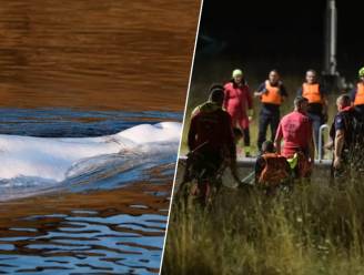Witte dolfijn uit sluis in Seine gehaald, maar transport naar zee opgeschort