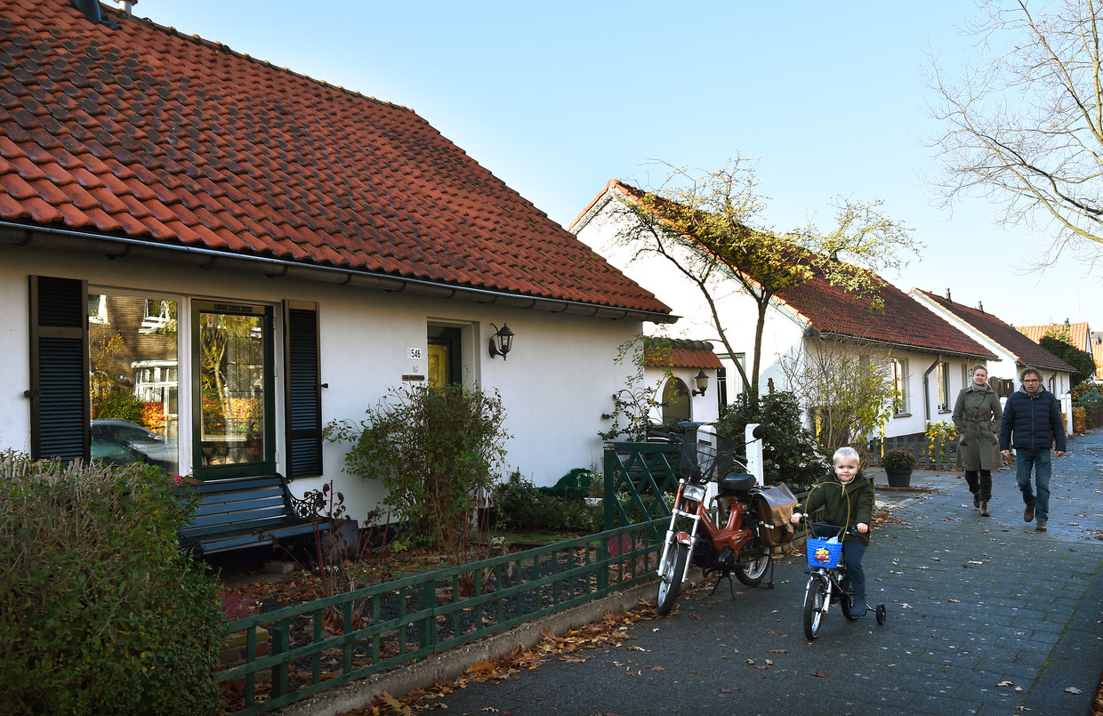 ‘Tijdelijke’ woningen van net na de Tweede Wereldoorlog in Den Bosch. Beeld Marcel van den Bergh / de Volkskrant