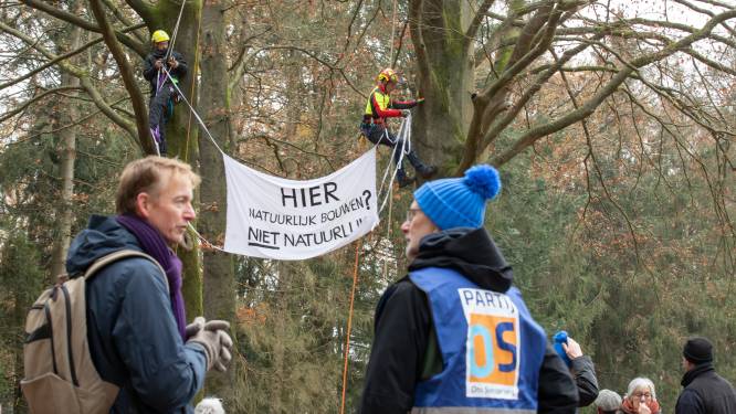 Omzagen van bomen leidt tot sterke emoties, maar het huizentekort ook: welk belang gaat voor?