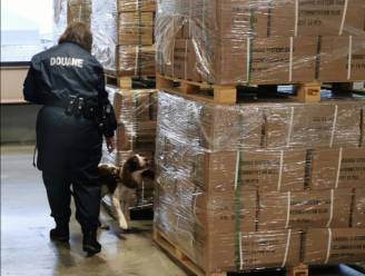 Douane vestigt nieuw record in 2020 en onderschept 65 ton cocaïne: “Drugsbendes hebben geen last van corona”