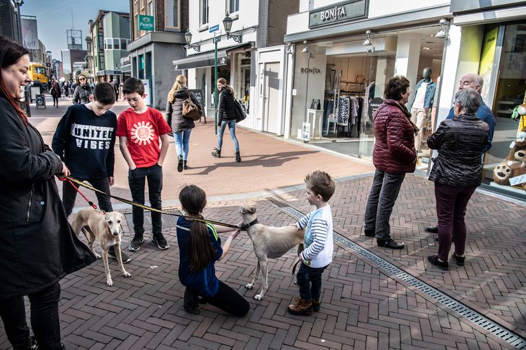 Winkelstraat in Boxmeer. Beeld Koen Verheijden
