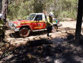 Bosbranden bedreigen buitenwijken van Perth in Australië: “Levens en woningen bedreigd”