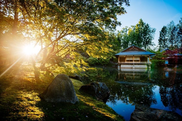 De Japanse tuin in Hasselt Beeld Toerisme Hasselt