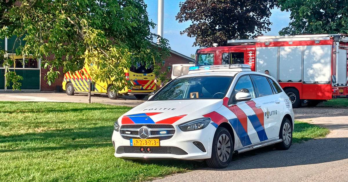 Elderly Man Fatally Injured in Farm Accident in Netterden