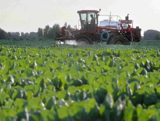 Pesticiden mogelijk gevaarlijker dan gedacht: groot onderzoek naar risico’s 