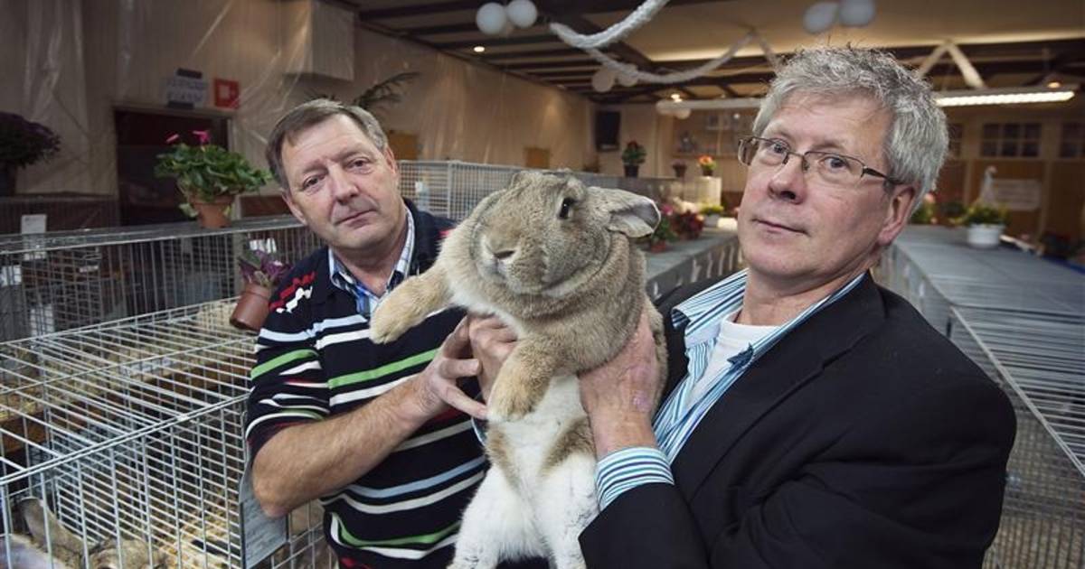 Geslaagde kleindierenshow in Tilligte