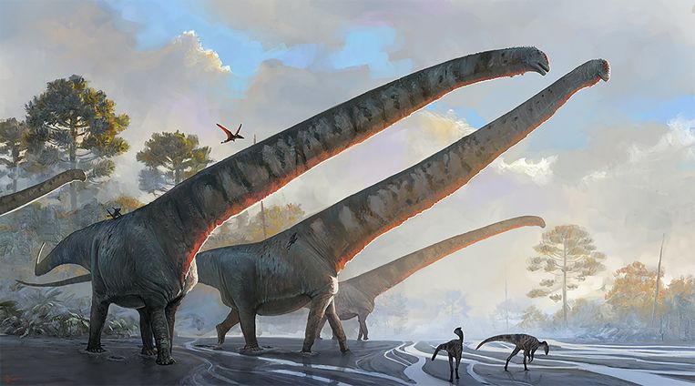 The longest neck ever seen in the animal kingdom: That was Mamenchisaurus