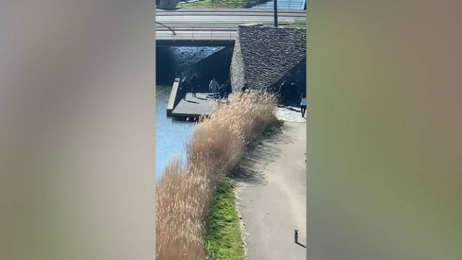 Vier tieners blijven langer in voorarrest voor mishandeling Rijswijker (53)