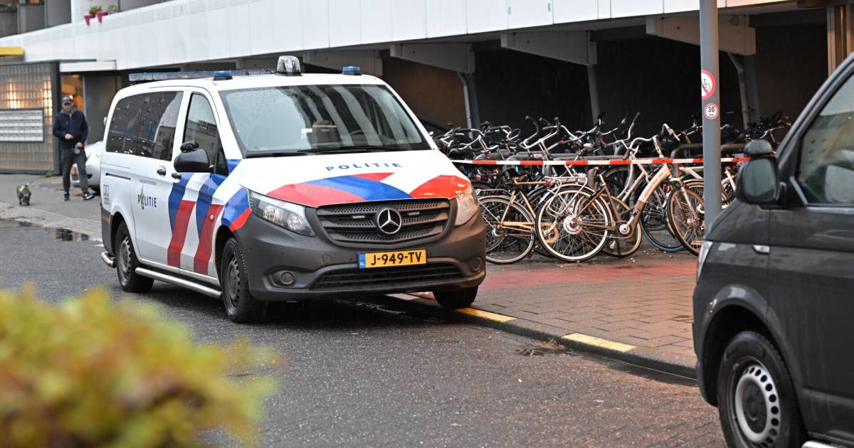 Woman attacked in Tilburg, the perpetrator allegedly fell from the balcony while trying to escape |  112