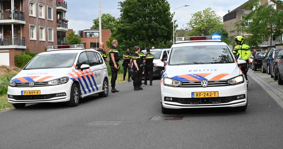 Police Officers Injured in Altercation with Aggressive Motorist in Breda