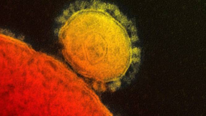 Le coronavirus MERS a fait 121 morts en Arabie saoudite