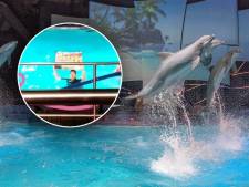 Vegan Streaker strikes again in Dolfinarium: activist opgepakt bij verstoren dolfijnenvoorstelling