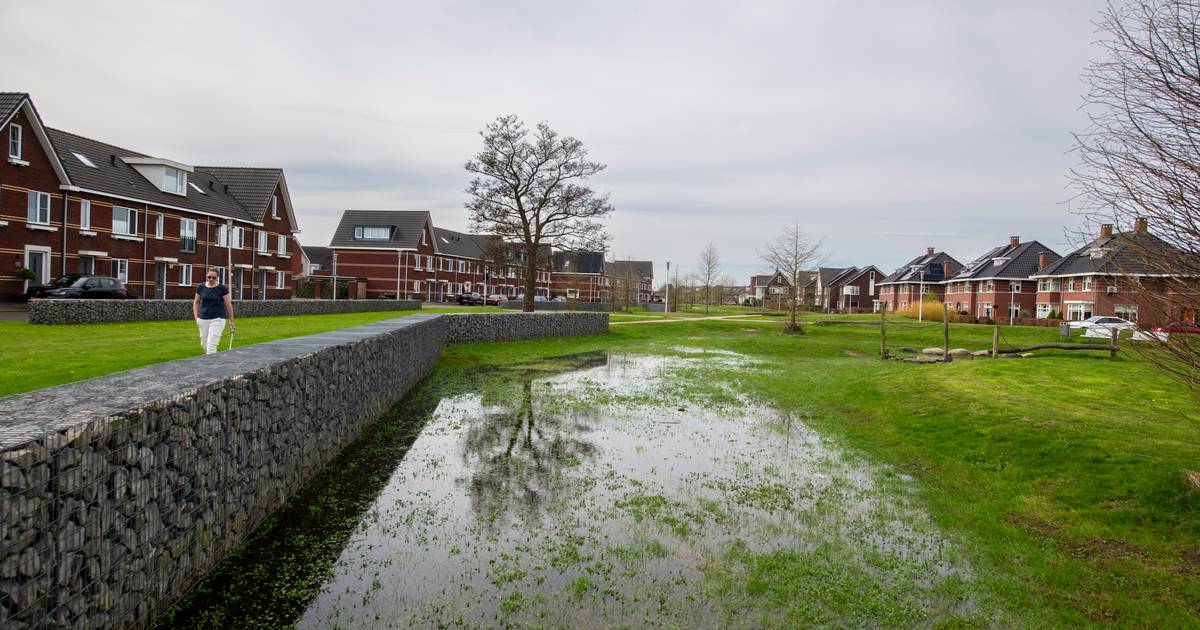 Met de kennis van nu? Geen positief advies waterschap voor woningbouw Zuidbroek: ‘Winters steeds nat