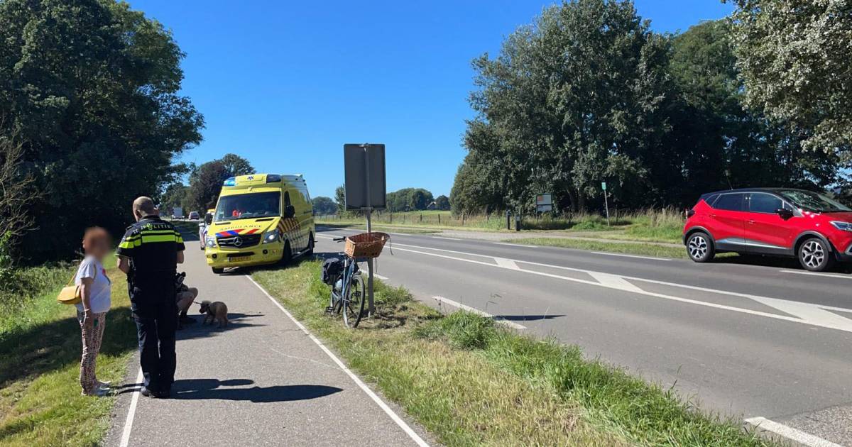 Fietser in Doesburg aangereden en met spoed naar het ziekenhuis, hondje zat in fietsmand voorop.