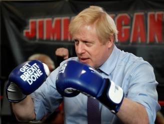 Boris bokst voor de brexit