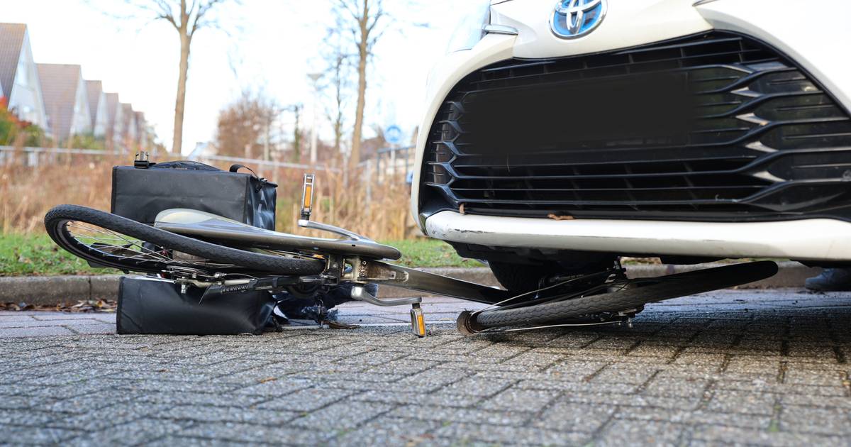 Fietser met hondje aangereden door auto op Voordijkshoorn in Den Hoorn