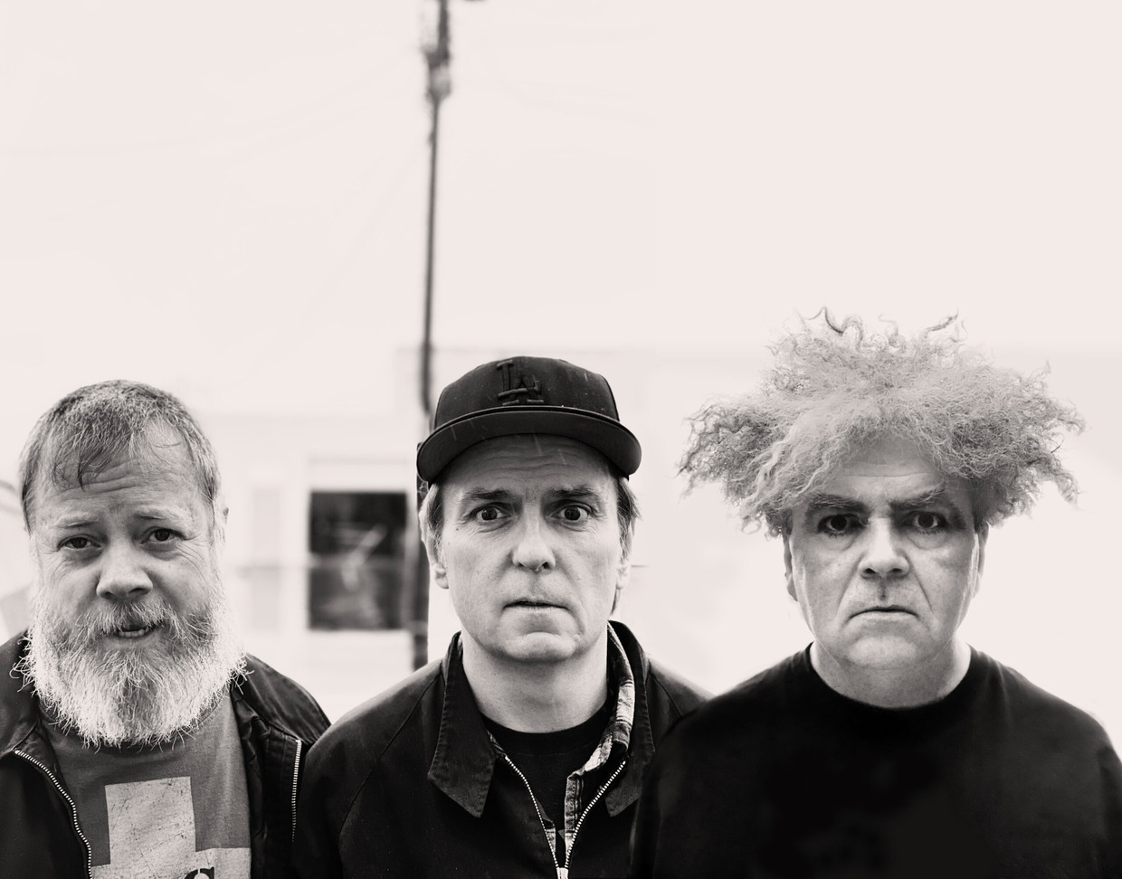 Melvins Beeld Melvins