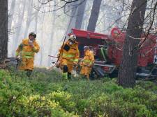 Sallandse Heuvelrug ontsnapt aan natuurramp, heidebrand dreigde over te slaan op kurkdroog bos