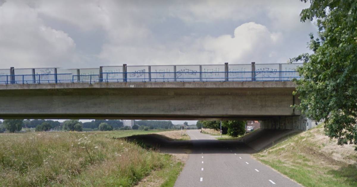 Hardloopster Lieke (22) uit Neerloon overleden na aanrijding op de dijk bij Niftrik
